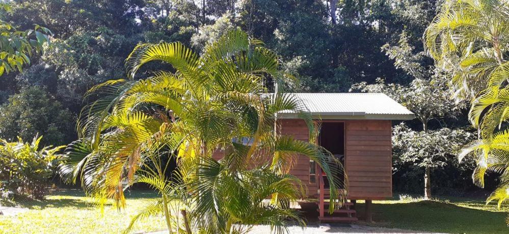 Daintree Rainforest Bungalows Villa Cow Bay Bagian luar foto